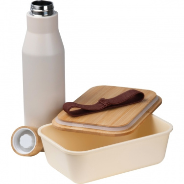 Logotrade Geschäftsgeschenke das Foto: Set Lunchbox mit Edelstahlflasche Toronto