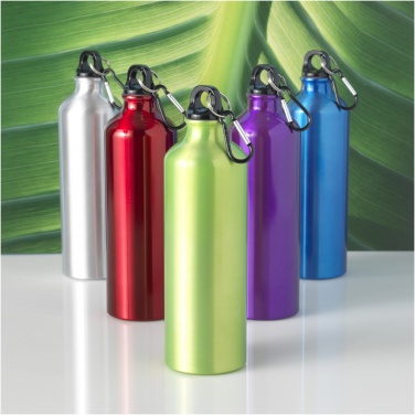 Logo trade business gifts image of: Oregon 770 ml aluminium water bottle with carabiner