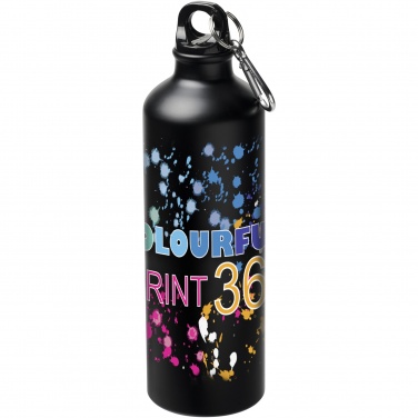 Logotrade promotional giveaway image of: Oregon 770 ml matte water bottle with carabiner
