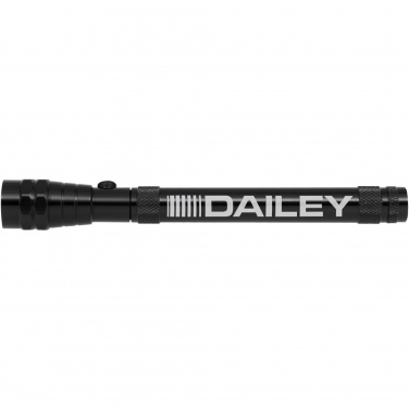Logotrade corporate gift picture of: Magnetica pick-up tool torch light
