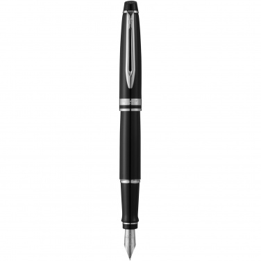 Logotrade promotional merchandise picture of: Waterman Expert fountain pen