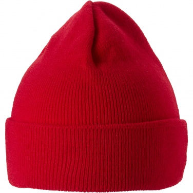 Logotrade promotional gift picture of: Irwin beanie