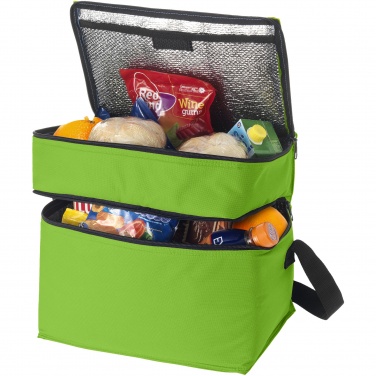 Logo trade promotional merchandise photo of: Oslo 2-zippered compartments cooler bag 13L