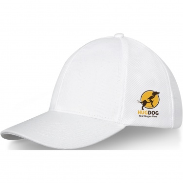 Logotrade promotional product image of: Drake 6 panel trucker cap