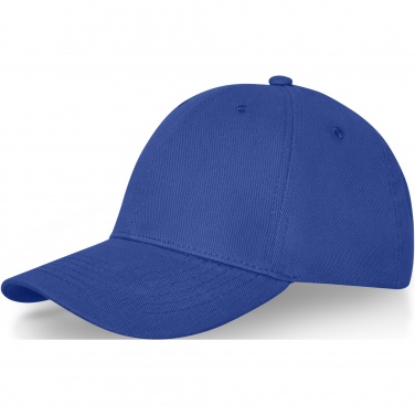 Logotrade corporate gifts photo of: Davis 6 panel cap