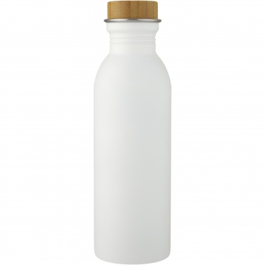Logotrade promotional merchandise picture of: Kalix 650 ml stainless steel water bottle