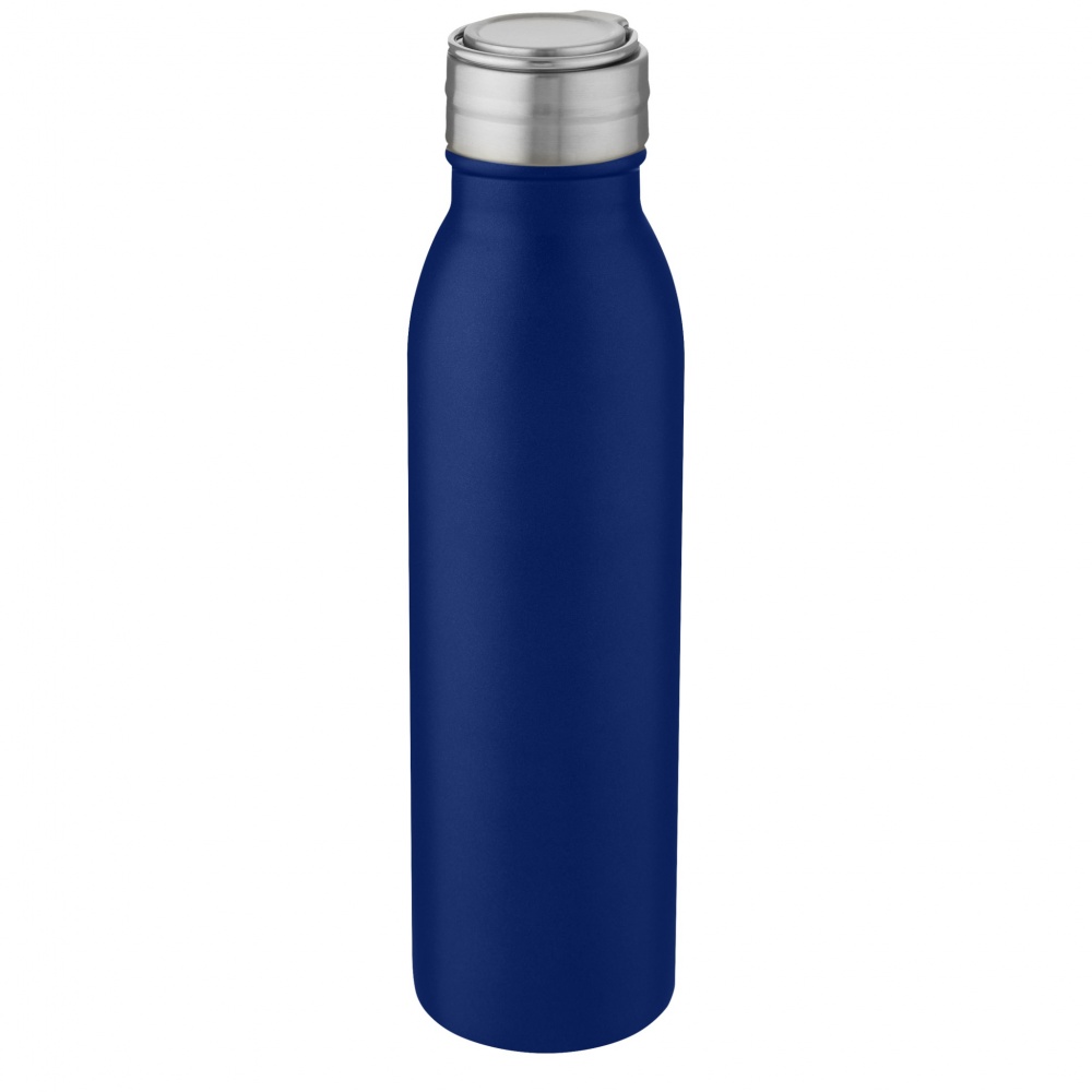 Logotrade corporate gift picture of: Harper 700 ml stainless steel water bottle with metal loop