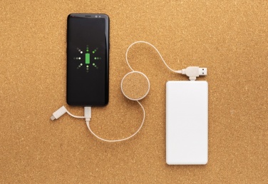 Logo trade promotional giveaways picture of: Cork and Wheat 6-in-1 retractable cable