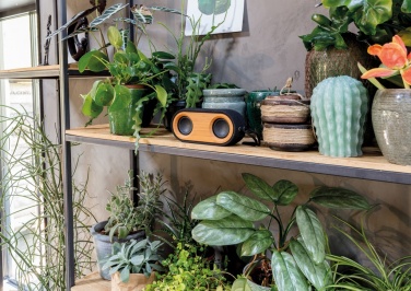 Logotrade corporate gift image of: Bamboo X double speaker