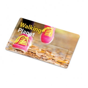 Logo trade promotional items image of: Creditcard. USB flash 32GB