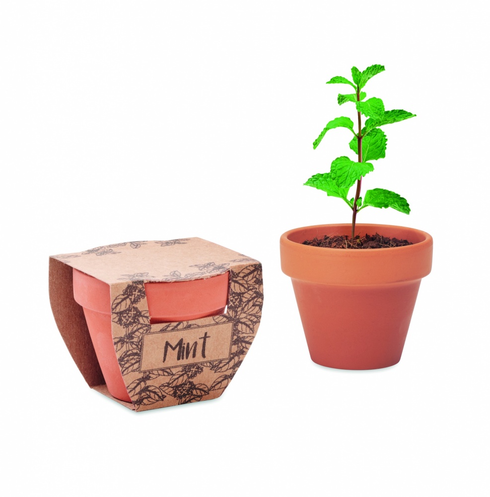 Logotrade promotional item image of: Terracotta pot mint seeds