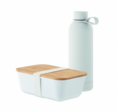 Logo trade promotional merchandise image of: Lunch box bottle gift set