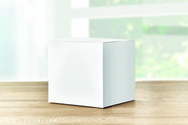 Logotrade promotional gifts photo of: Sublimation gift box for mugs