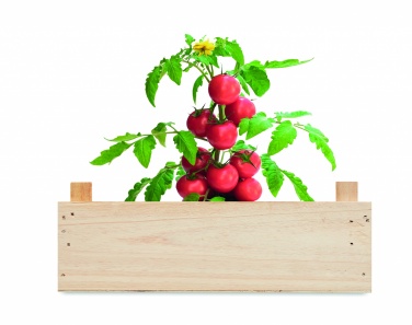 Logo trade promotional giveaways picture of: Tomato kit in wooden crate