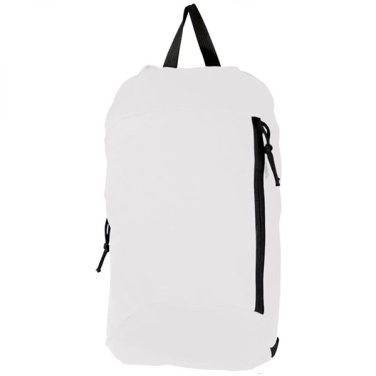 Logotrade promotional giveaway picture of: Backpack DERRY