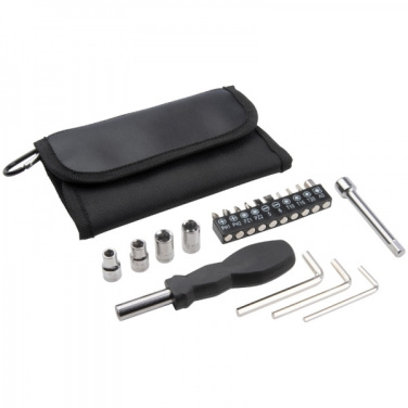 Logotrade promotional merchandise photo of: Multitool set ESSEX