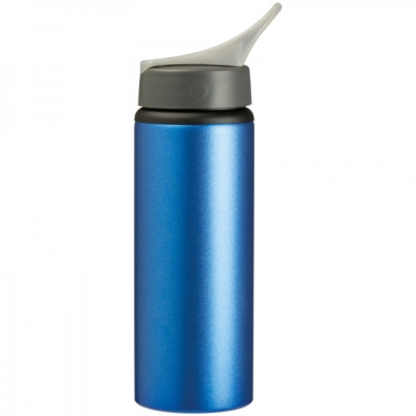 Logotrade promotional product image of: Drinking bottle RIO GREEN TEA 600 ml