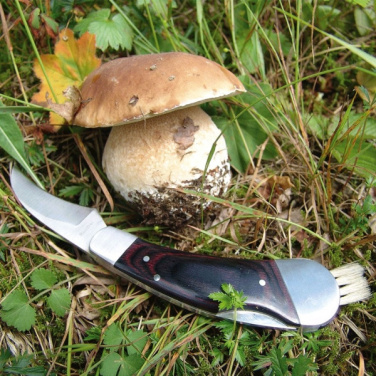 Logotrade promotional products photo of: Mushroom knife PILZ Schwarzwolf