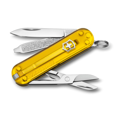 Logotrade corporate gifts photo of: Pocket knife Classic SD transparent Victorinox