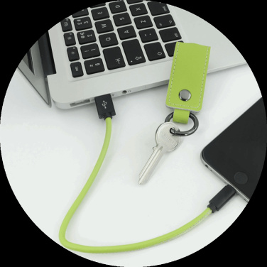 Logotrade promotional product image of: Keyring 59612900