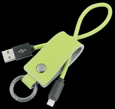 Logotrade promotional giveaway picture of: Keyring 59612900
