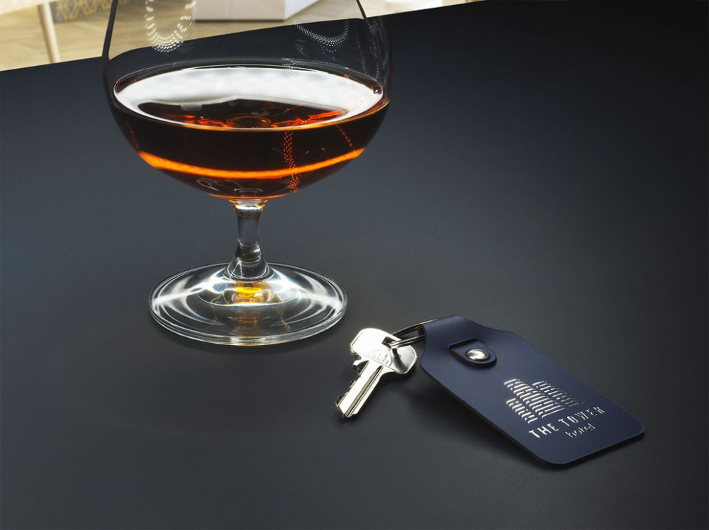 Logo trade promotional merchandise photo of: Keyring 1200094