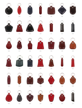 Logotrade promotional product picture of: Keyring 178011