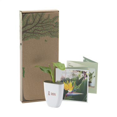 Logo trade business gift photo of: Treemore Letterbox Trees Bird of Paradise plant