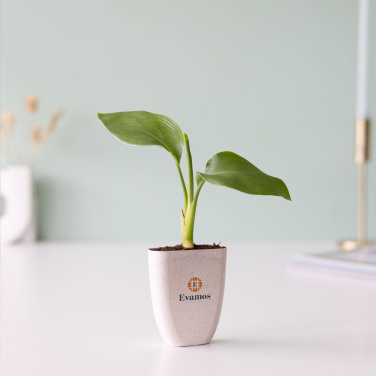 Logotrade corporate gift image of: Treemore Letterbox Trees Bird of Paradise plant