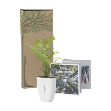 Logotrade promotional product image of: Treemore Letterbox Trees Giant Sequoia