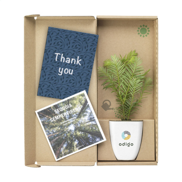Logotrade corporate gift picture of: Treemore Letterbox Trees Giant Sequoia