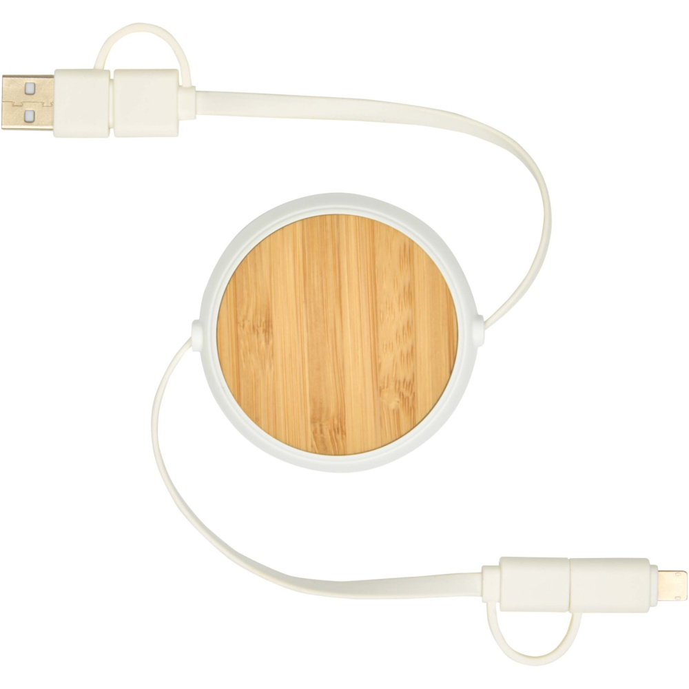 Logotrade promotional gift image of: Chechia 5-in-1 recycled plastic 100 cm retractable data sync and 45W fast charge cable