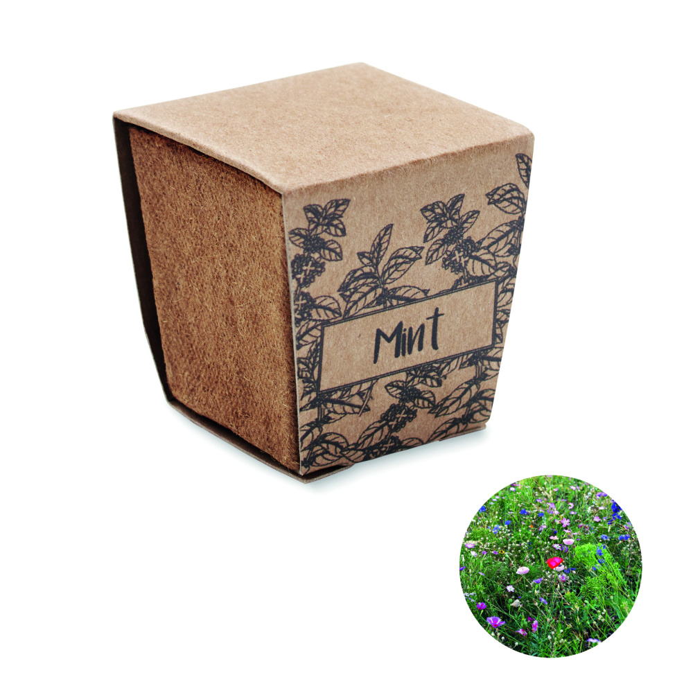Logo trade promotional merchandise photo of: Mint seeds growing kit