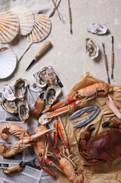 Logotrade promotional gift image of: VINGA Story of seafood