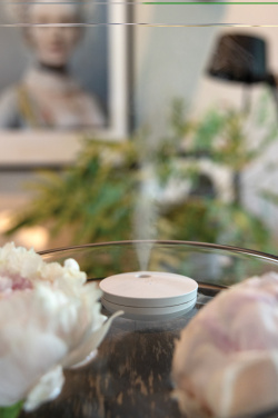 Logo trade promotional merchandise image of: Breevia RCS rplasic re-chargeable floating humidifier