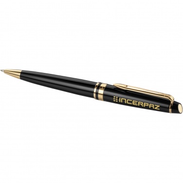 Logo trade firmakingituse pilt: Waterman Experti pastapliiats