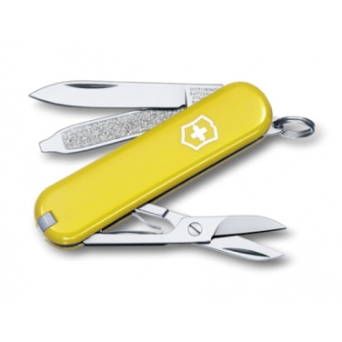 Logotrade ärikingituse foto: Taskunuga CLASSIC SD Victorinox