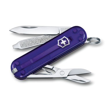 Logotrade firmakingi foto: Taskunuga Classic SD läbipaistev Victorinox