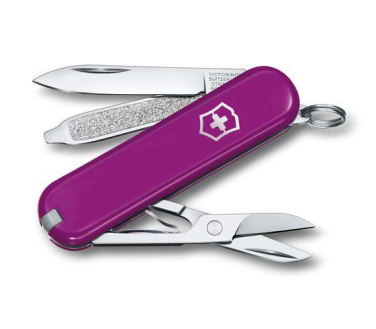 Logotrade reklaamtoote foto: Taskunuga CLASSIC SD Victorinox