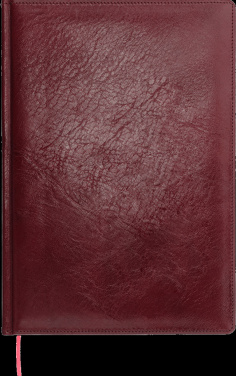 Logotrade ärikingituse foto: Kalendermärkmik 642131