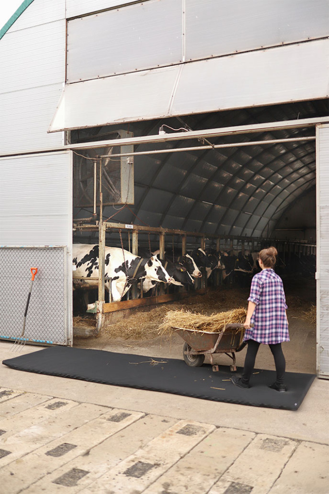 Logo trade meene pilt: Üle sõidetav desinfektsioon matt 120x500x4cm 1366087