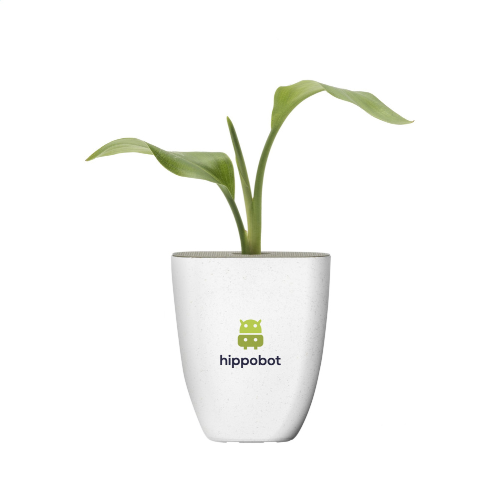 Logo trade reklaamkingitused foto: Treemore Letterbox Trees Paradiisilinnu taim