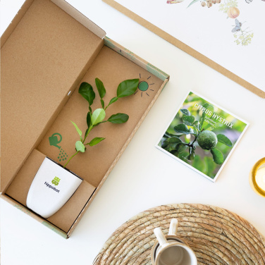 Logo trade ärikingitused foto: Treemore Letterbox Trees Kaffir Lemon