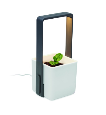 Logotrade firmakingitused pilt: LED-valgustusega siseaed