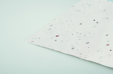 Logo trade firmakingid foto: ASIDA Seemnepaberist visiitkaart