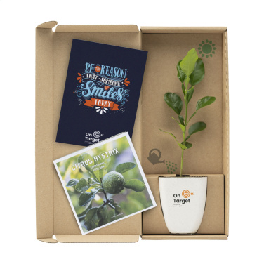 Logo trade liikelahjat tuotekuva: Treemore Letterbox Trees Kaffir Lemon