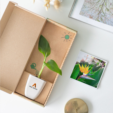 Лого трейд pекламные продукты фото: Treemore Letterbox Trees Растение Bird of Paradise