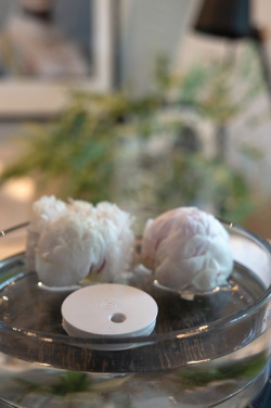 Лого трейд pекламные подарки фото: Breevia RCS rplasic перезаряжаемый плавающий увлажнитель воздуха