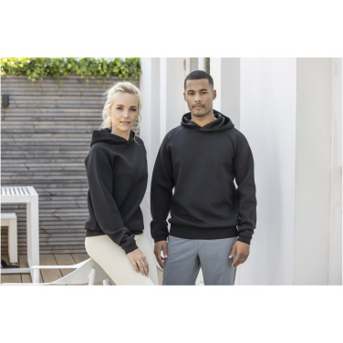 Logotrade kampanjprodukter bild: Danali unisex interlock sporttröja med huva